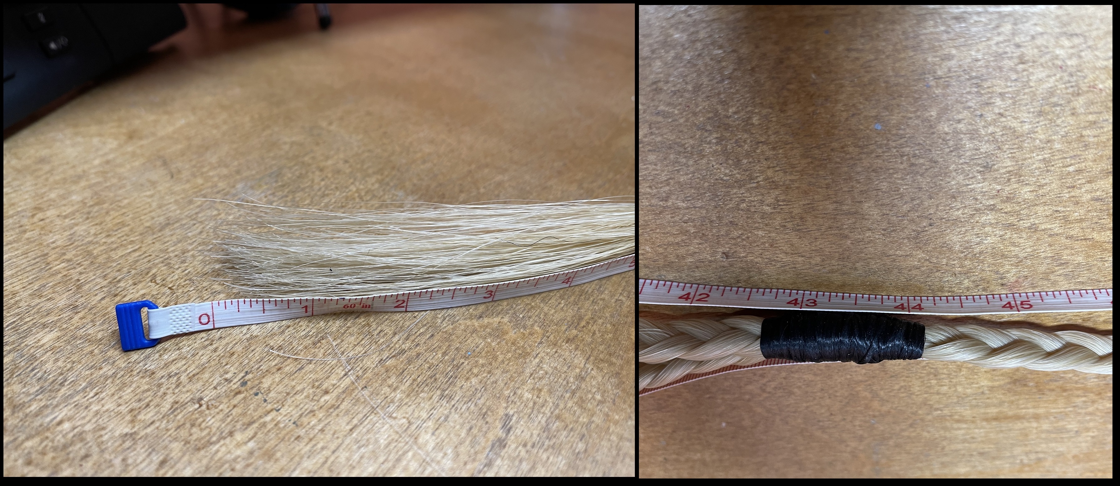 1 - Blonde - Start and End.jpg