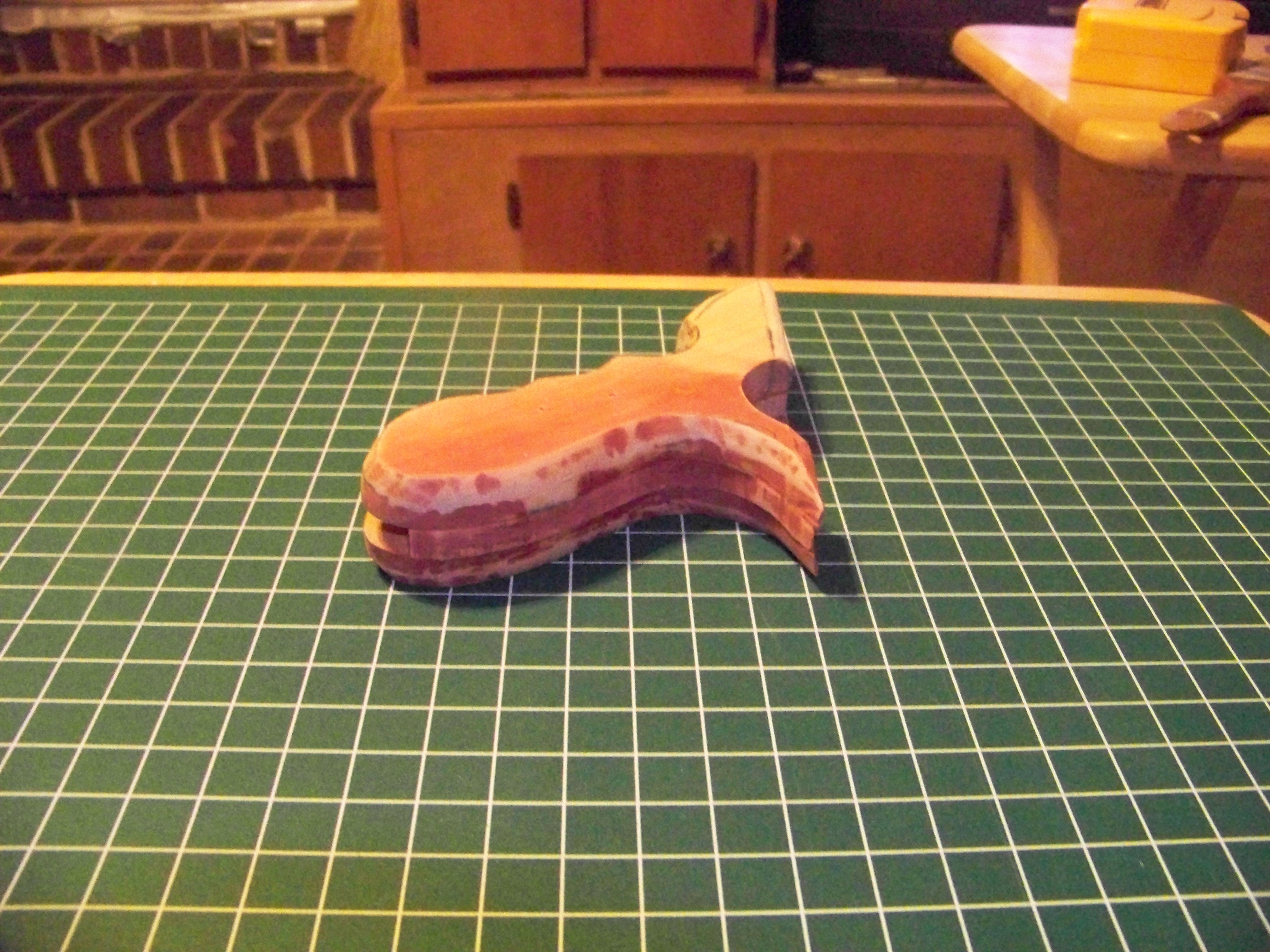 100_1339.jpg