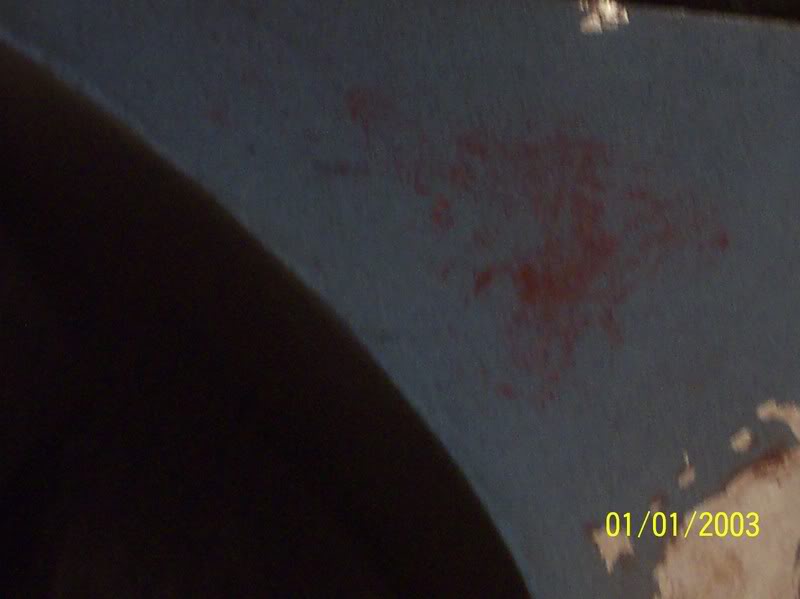 100_3335.jpg
