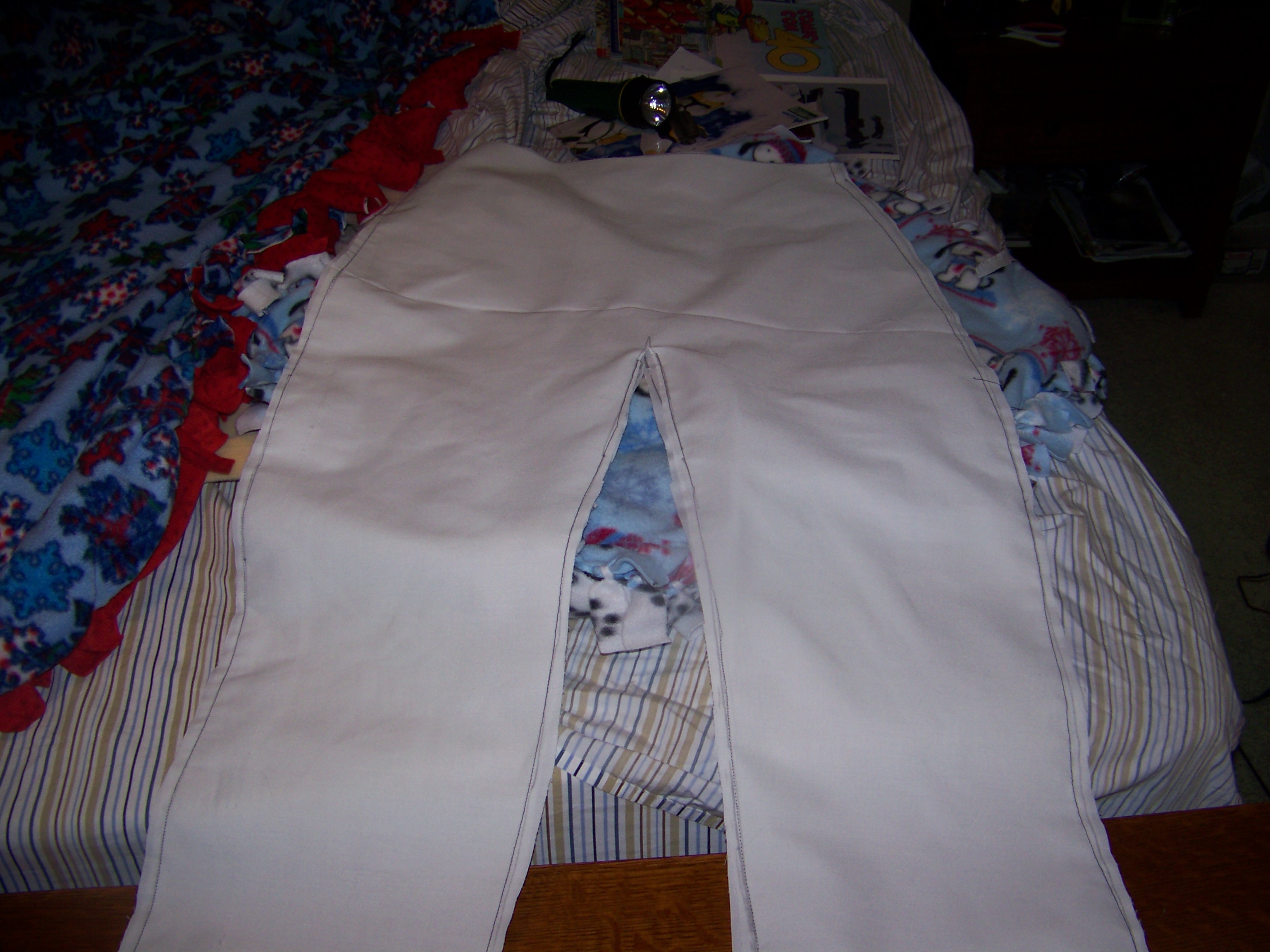 100_6530.jpg