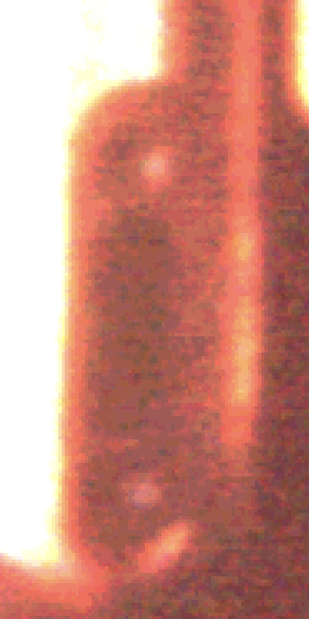 1717391131114.png