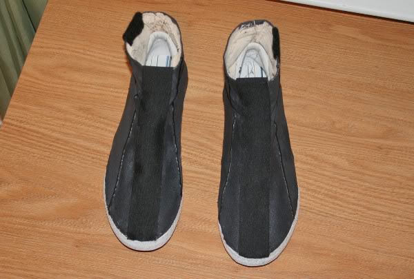 2009-10-18FettShoespainted-finished.jpg