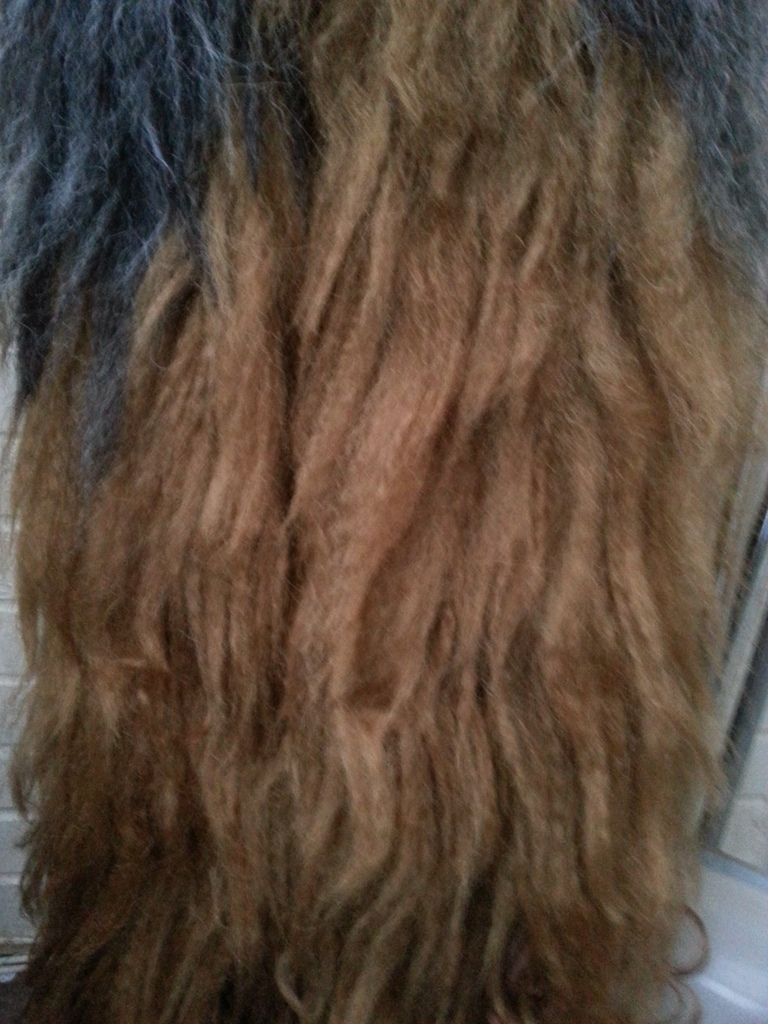 20150424_193015.jpg