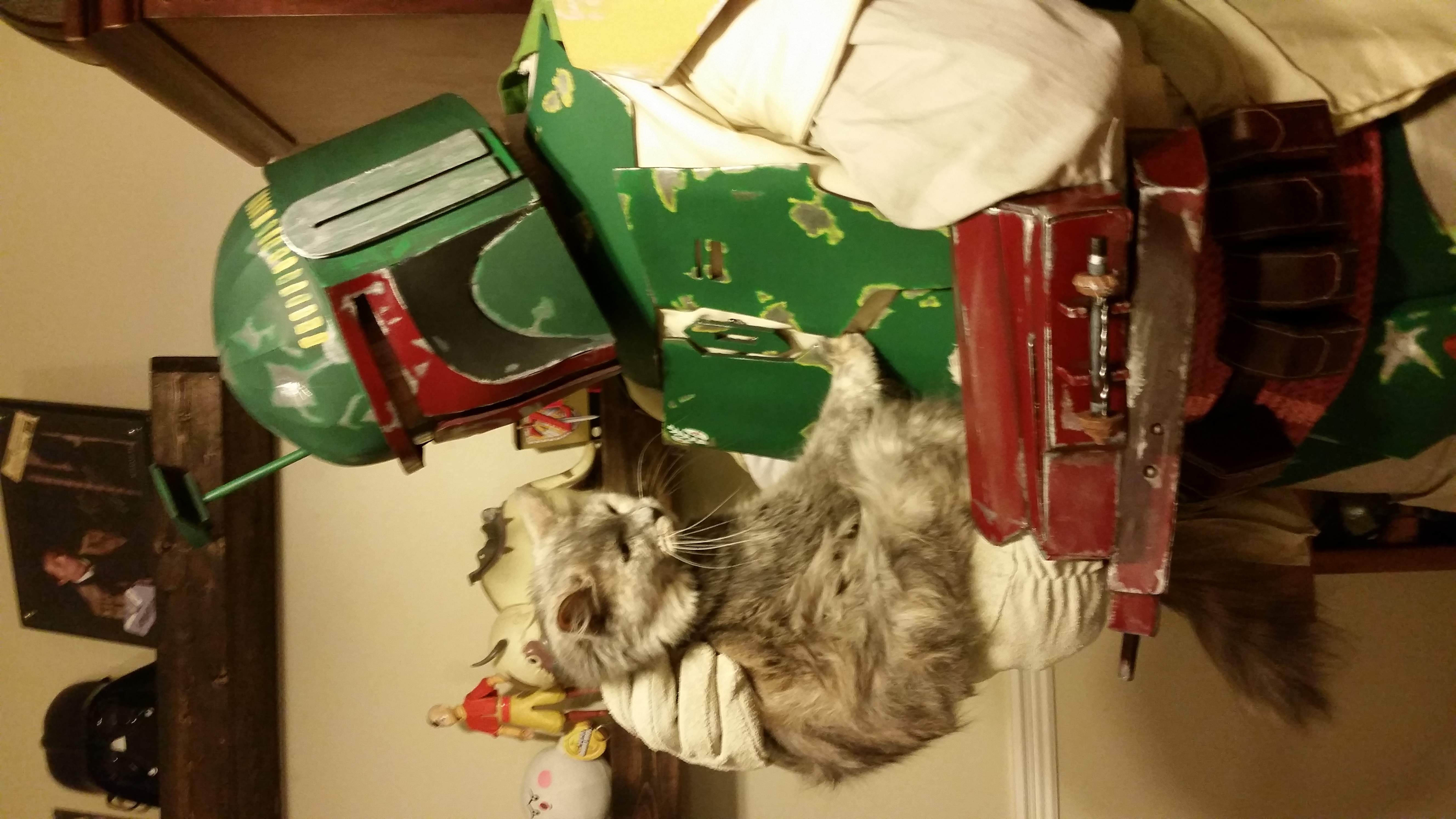 20151215_200828.jpg