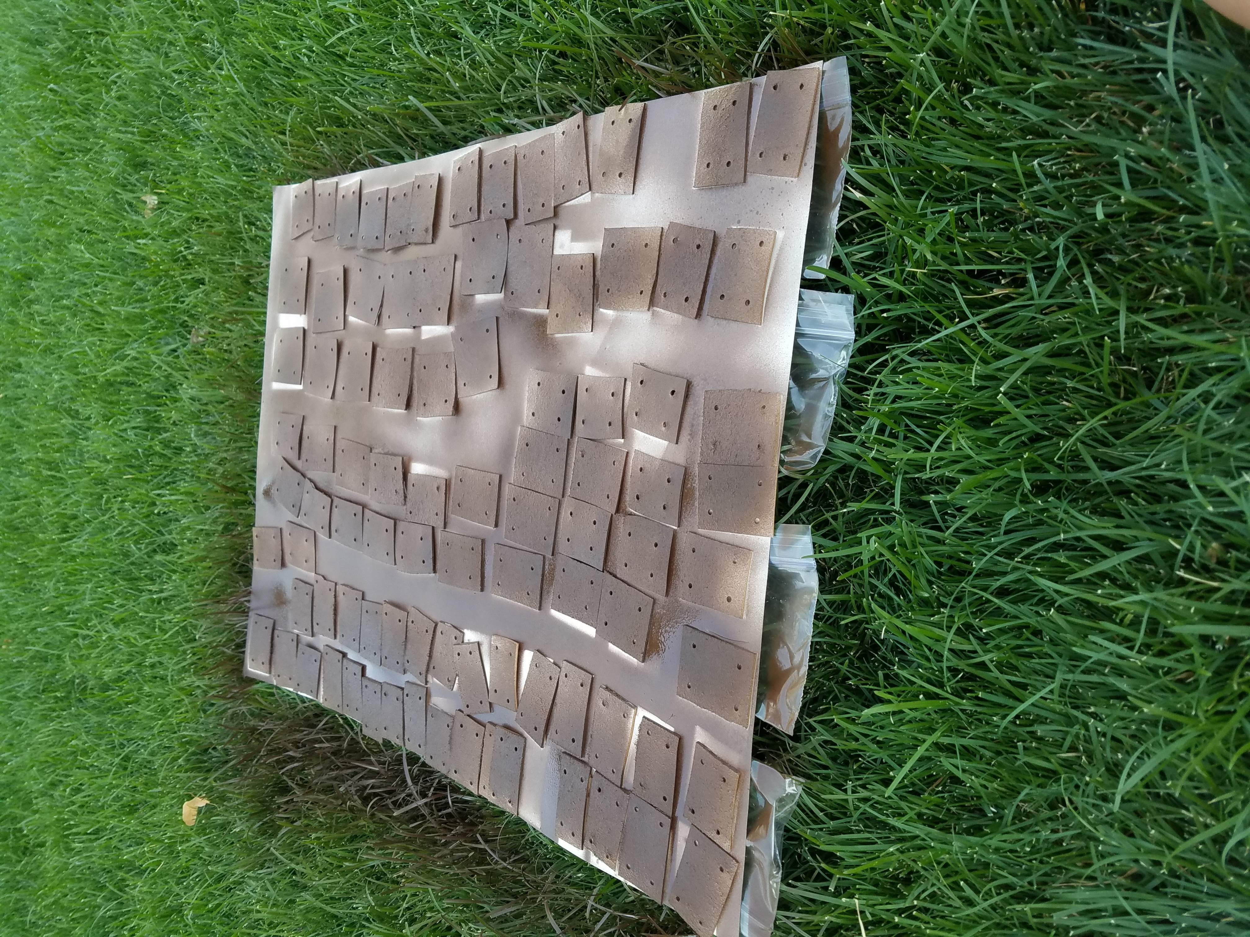 20160813_184226.jpg