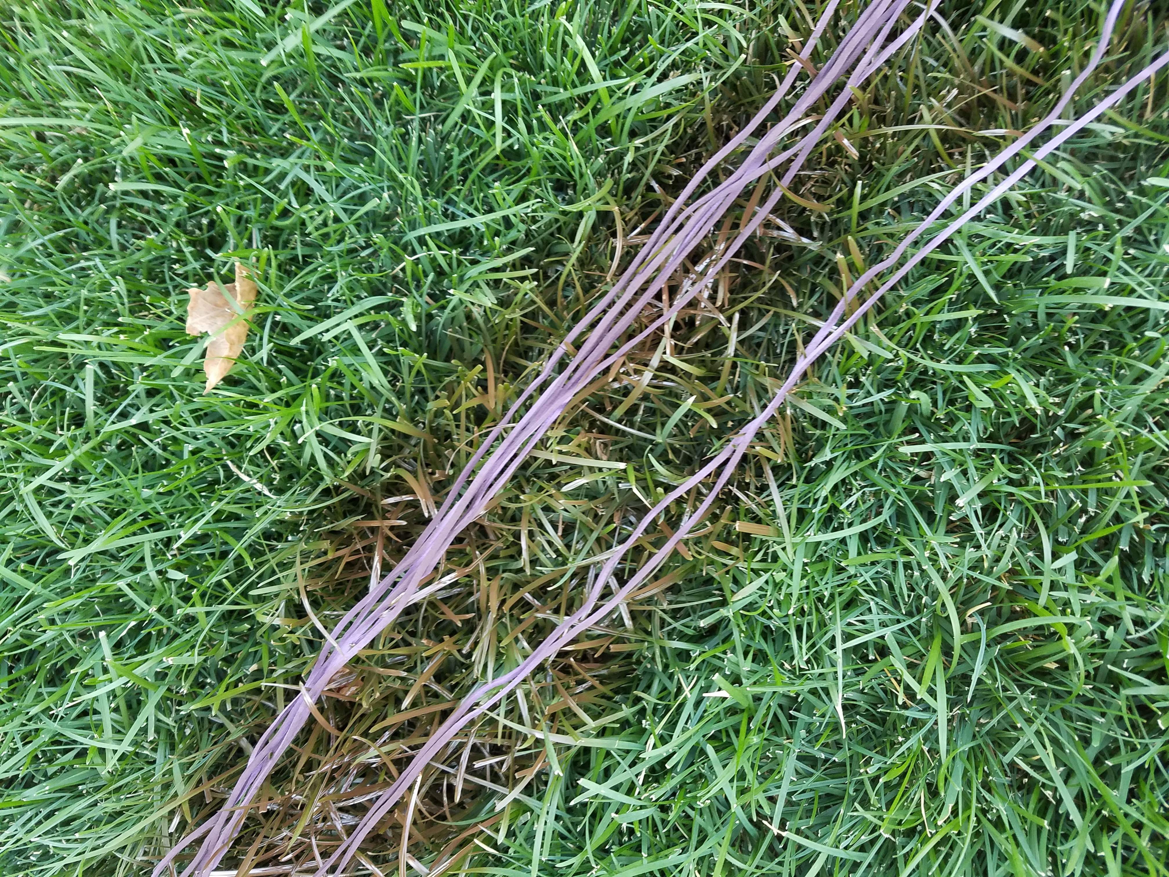 20160813_190917.jpg