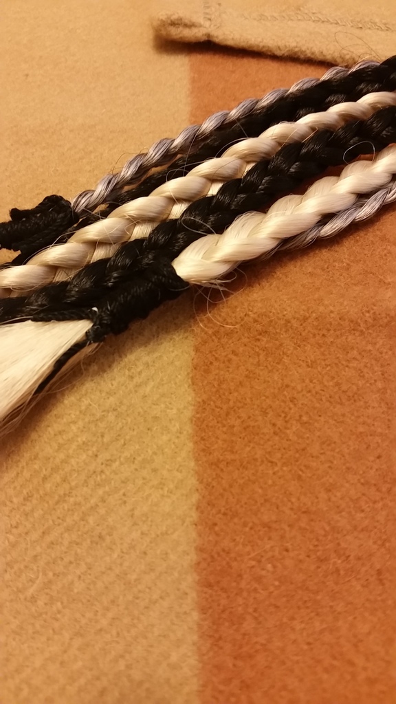 20161028_133715.jpg