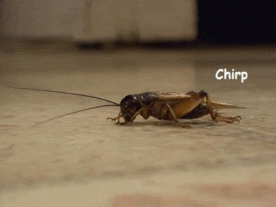 85F744EC-57F1-466A-8649-C8C6F11479DE.gif