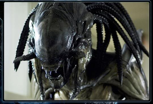 Alien-Predatorhybrid.jpg