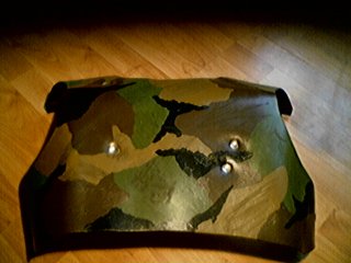 Back Plate 01.jpg