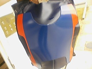 Back Plate Armour.jpg
