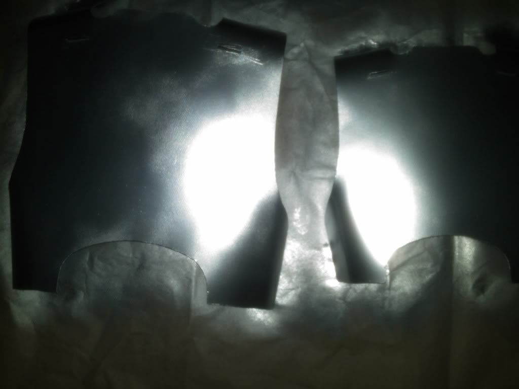 BackArmorMetallic1.jpg