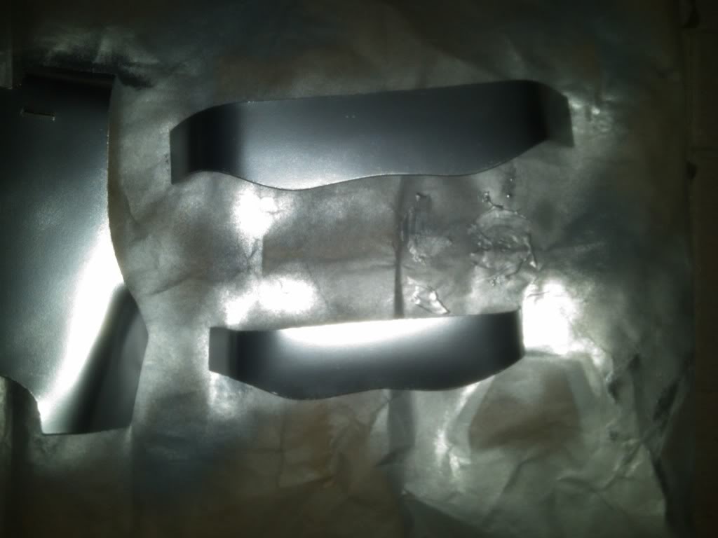 BackPlateMetallic1.jpg