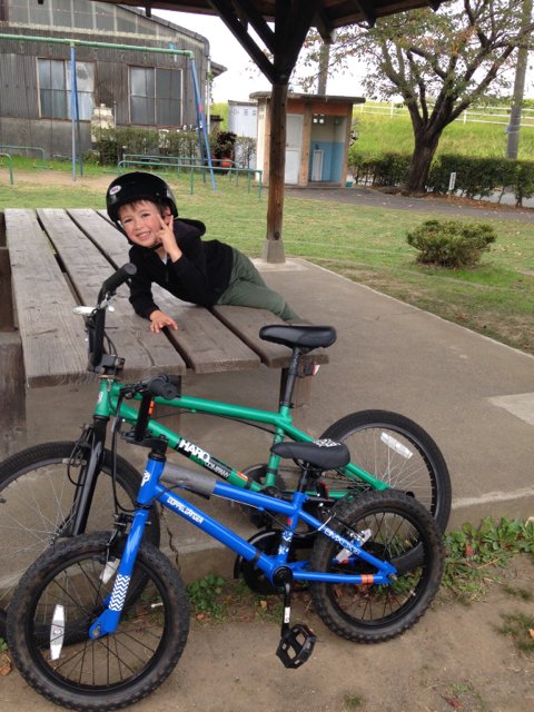 bcd77d8447052eaadbd616362a72371f.jpg