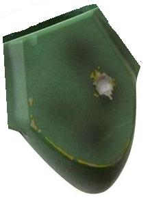 BFCodpeice.jpg