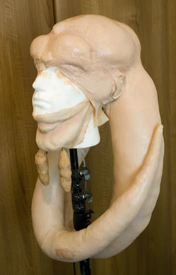 Bib-1.jpg