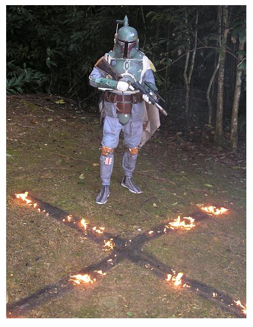 bobax.JPG