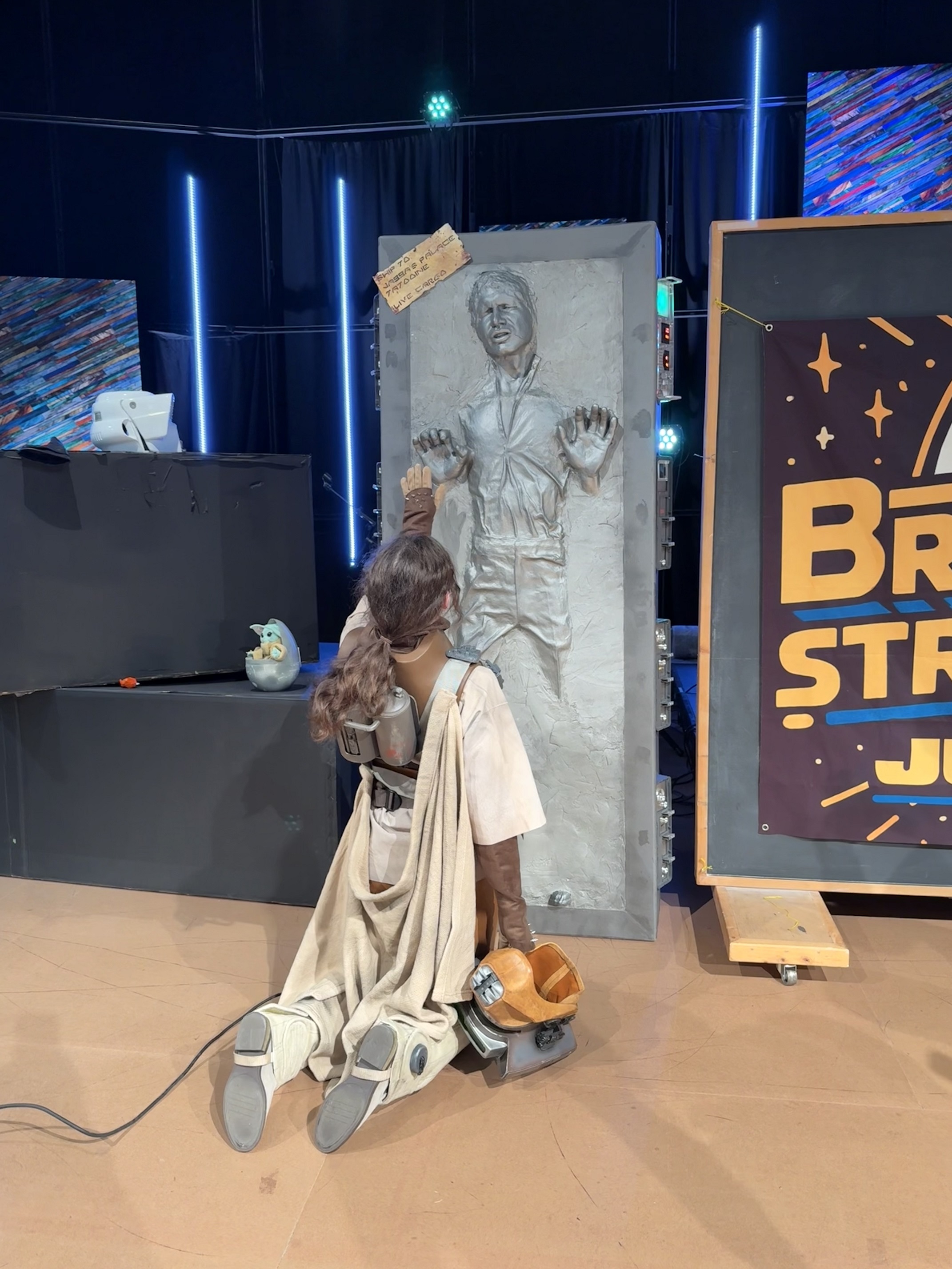 Boushh with HIC - Light.jpg