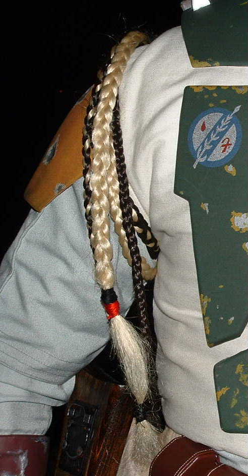braids.JPG