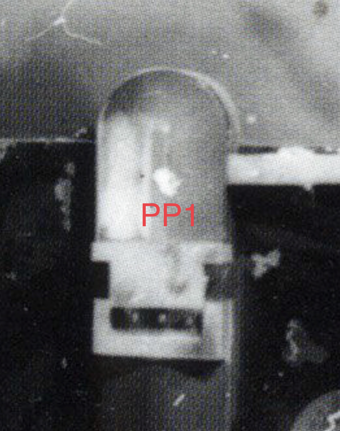 C5FD12EE-98D1-46E4-B4DE-BA927AF1290F.jpeg