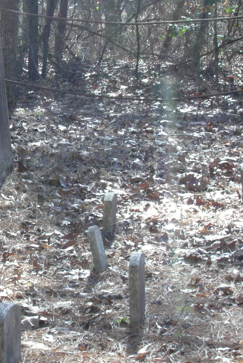 cemetery and rain 017a.jpg