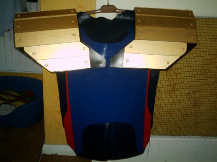 Chest Armour Fixed In Place Back.jpg