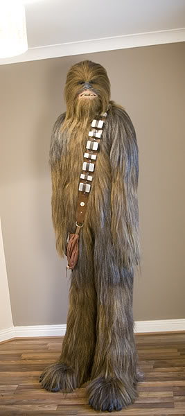 Chewie24.jpg