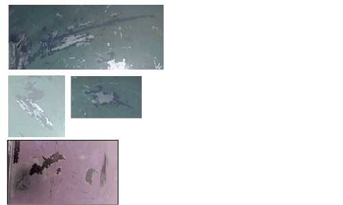Cnv0229.jpg