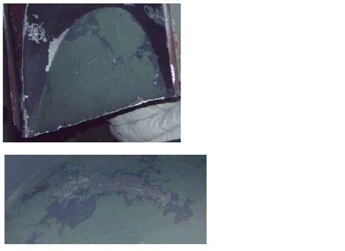 Cnv0230.jpg
