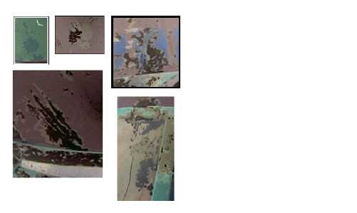 Cnv0231.jpg