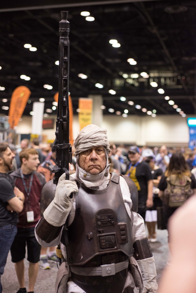 cVIII-11.jpg