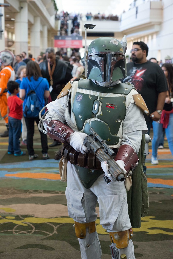 cVIII-7.jpg