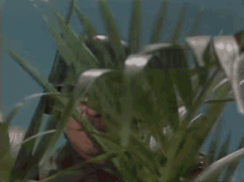 D900449C-B045-4B64-8F8E-D7735DC0D846.gif