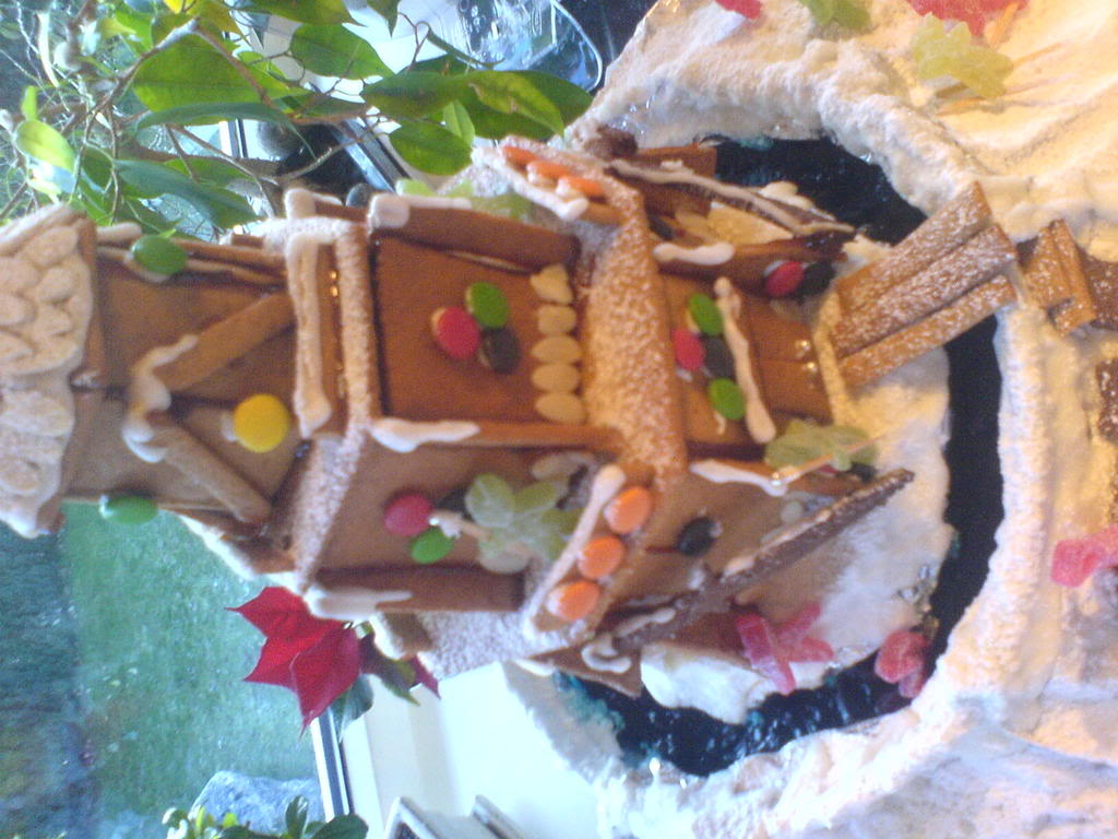 DSC00508.jpg