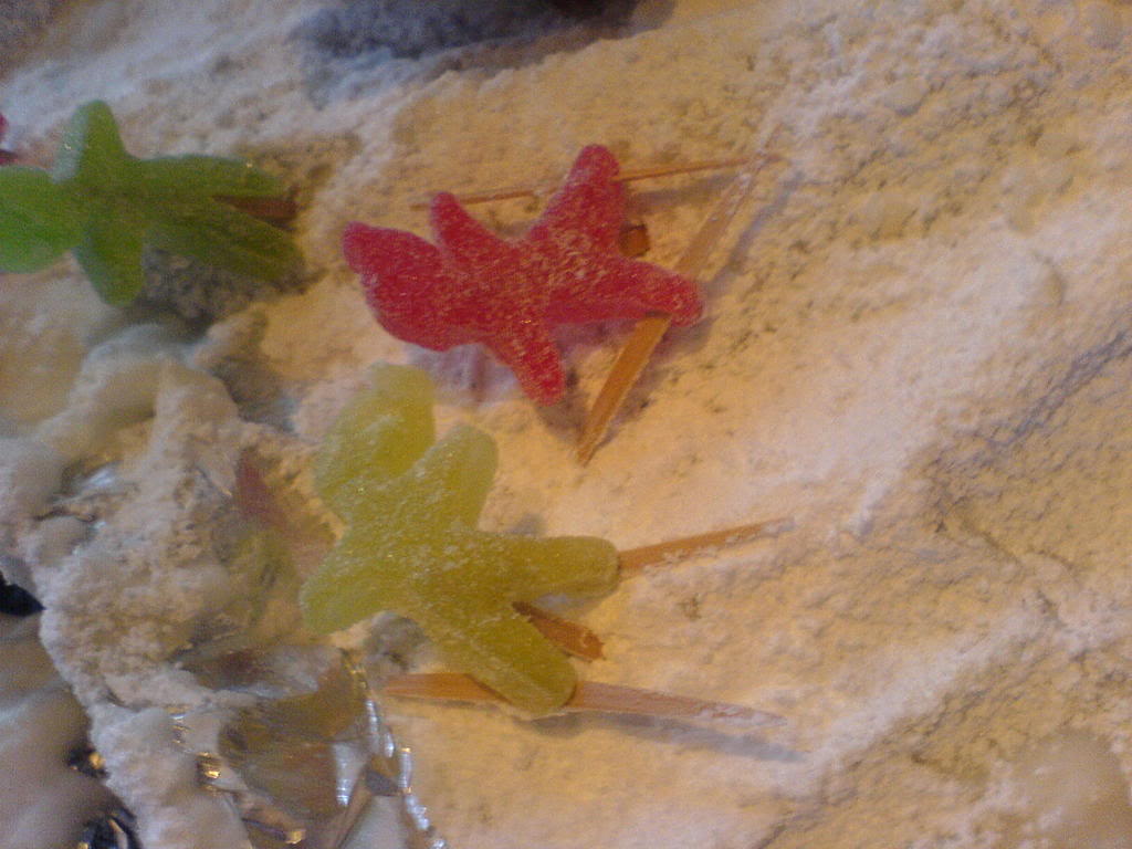 DSC00509.jpg