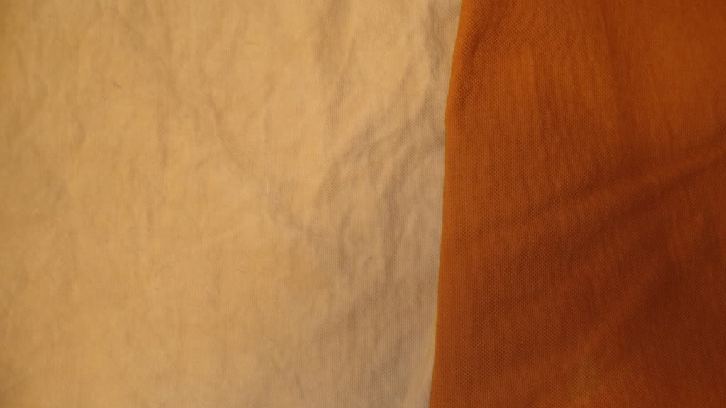 DSC00822.jpg