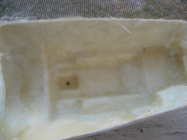 DSC01103.jpg