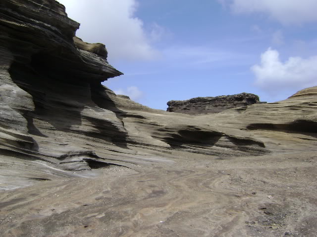 DSC01175.jpg