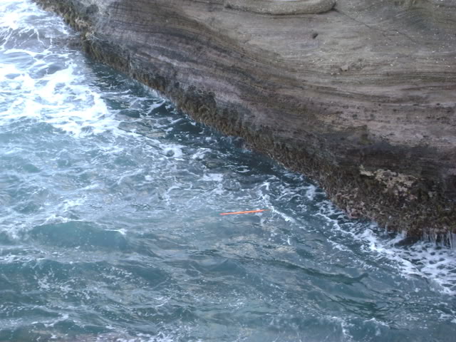 DSC01235.jpg
