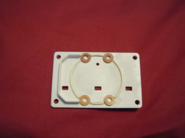 DSC01445.jpg