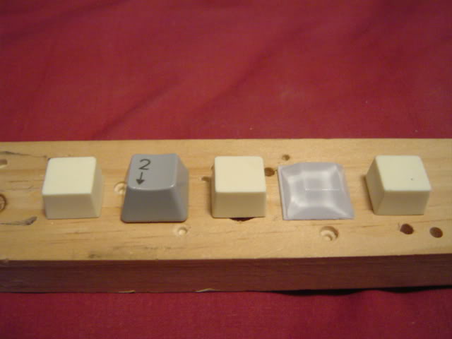 DSC01466.jpg