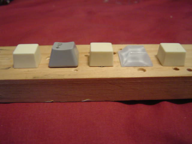 DSC01468.jpg