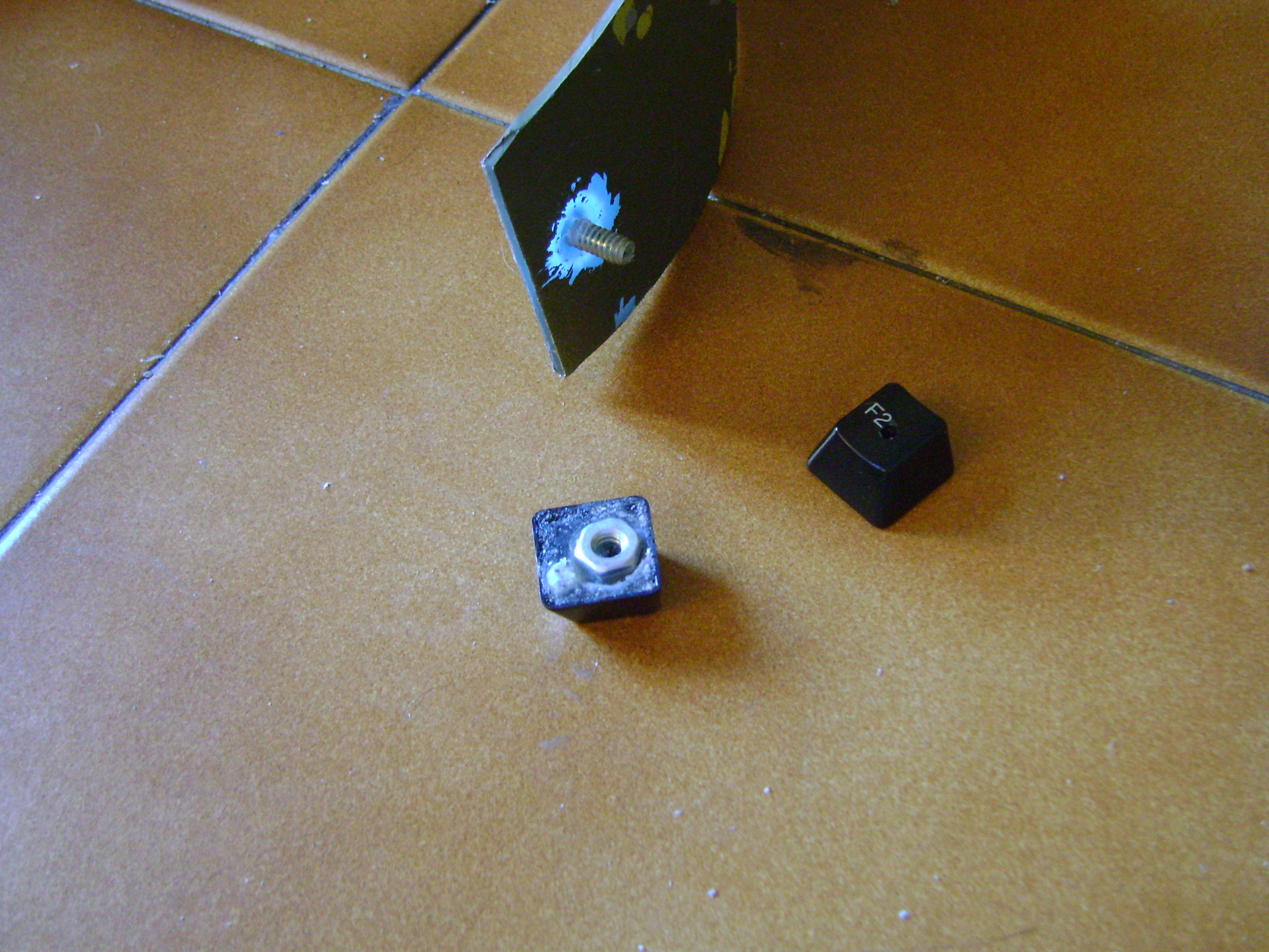 DSC01633.JPG