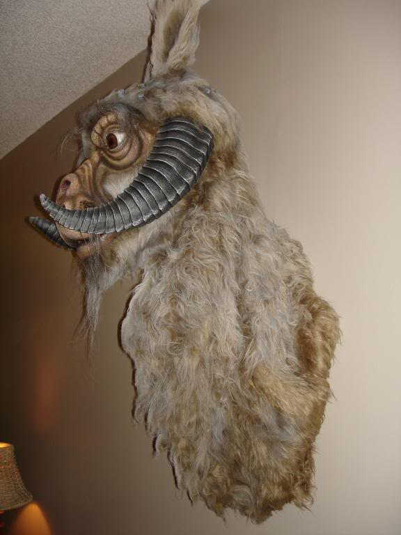 DSC02245.jpg
