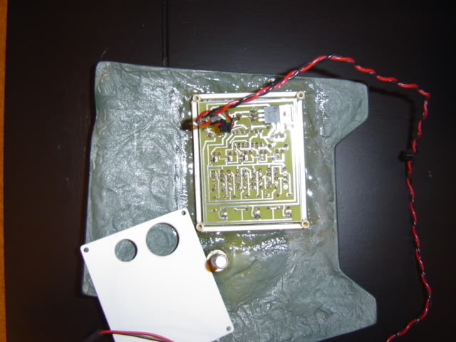 DSC02264.jpg