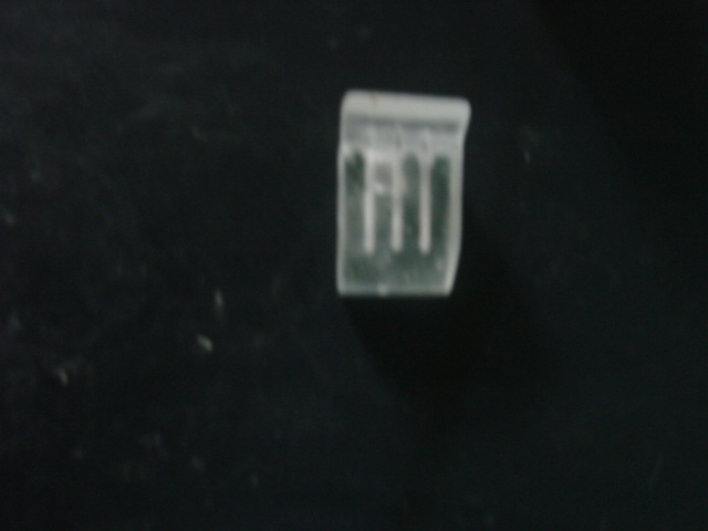DSC03918.JPG