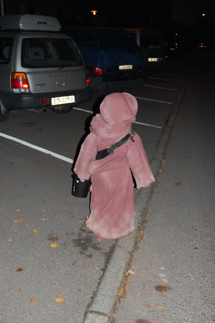 DSC_0010.jpg