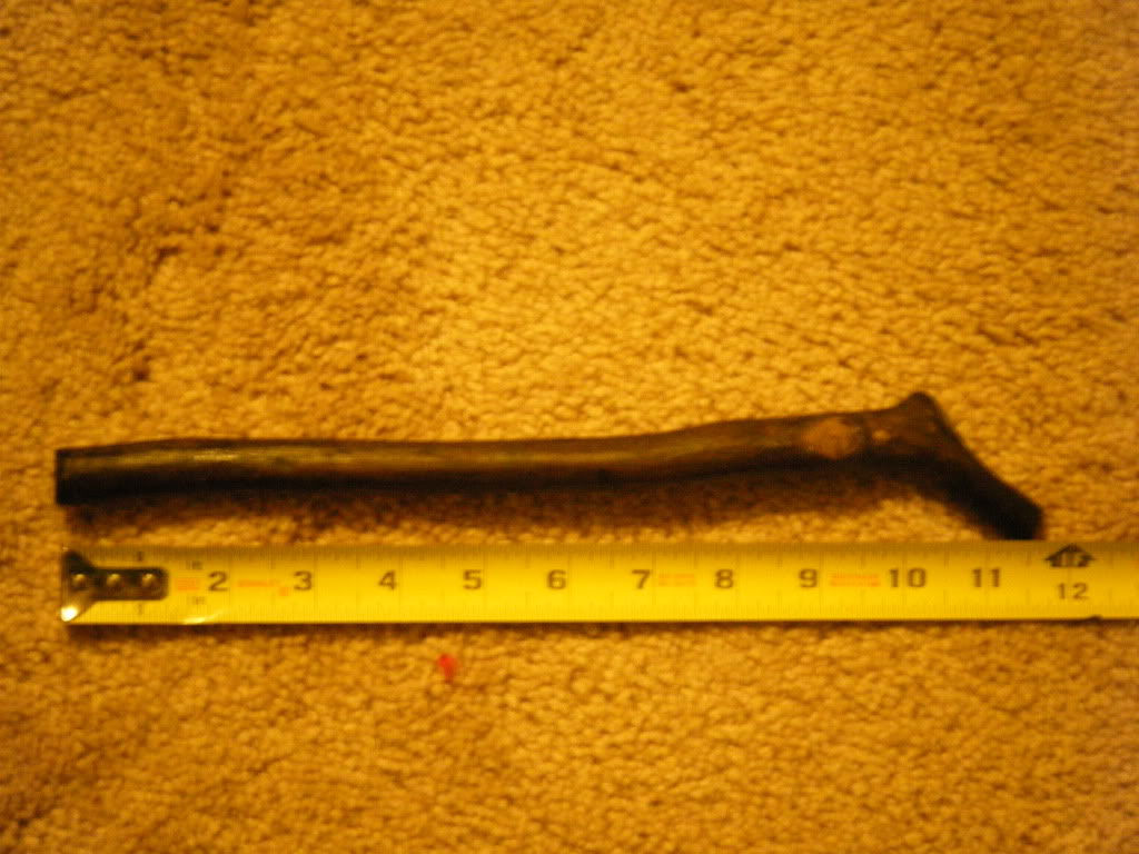 DSCF1321.jpg