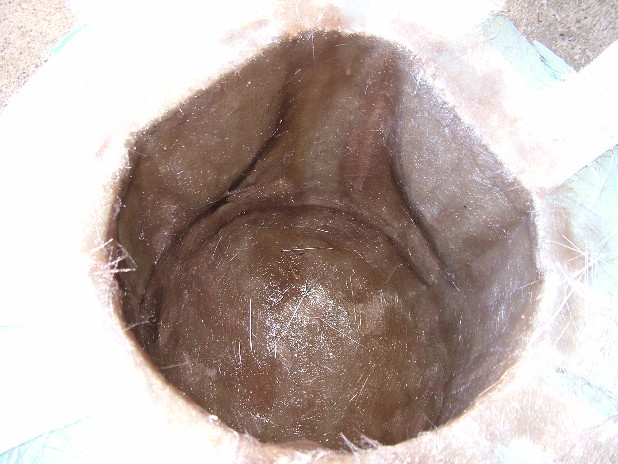DSCF1675.JPG