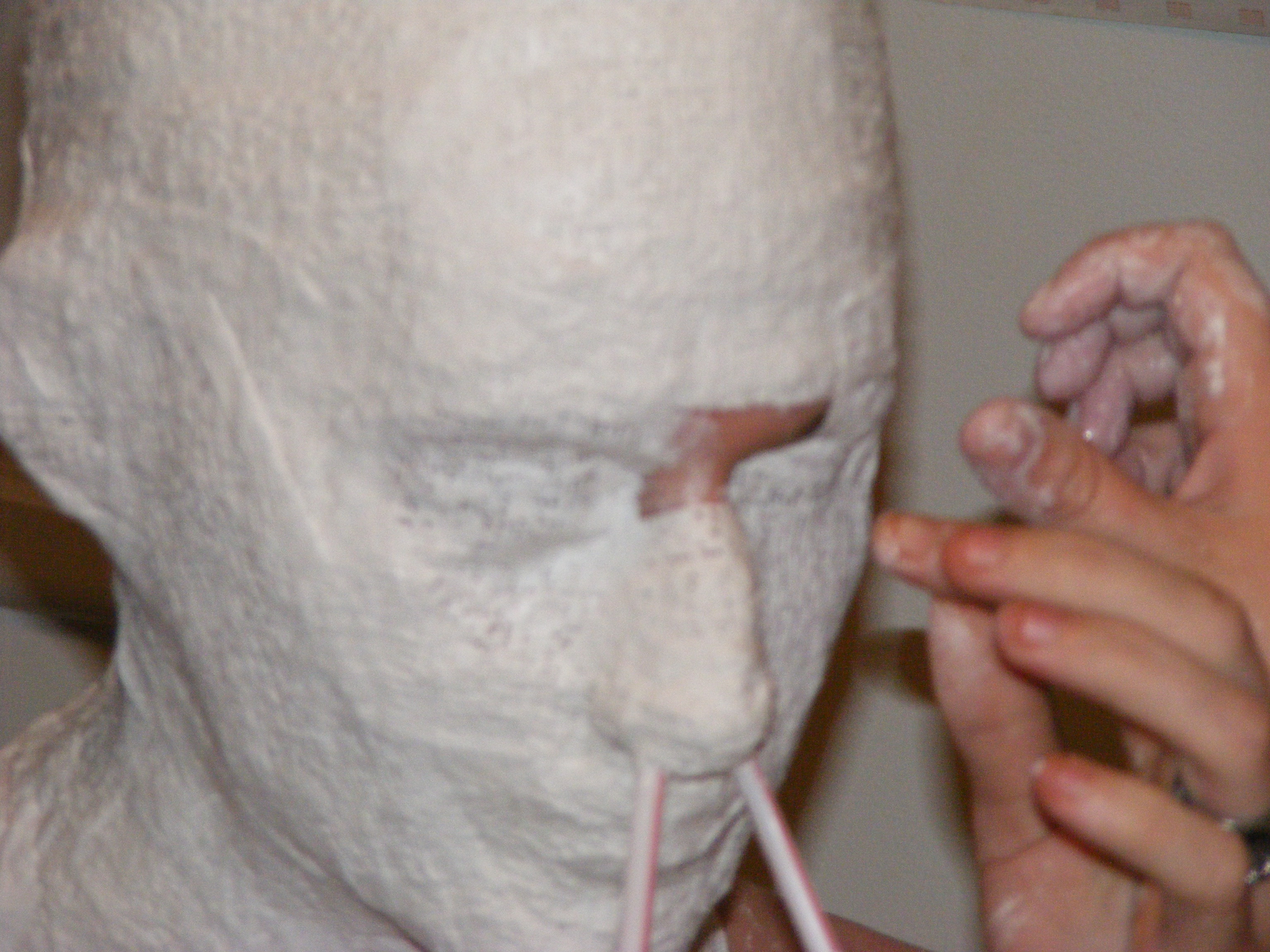 DSCF2185.JPG